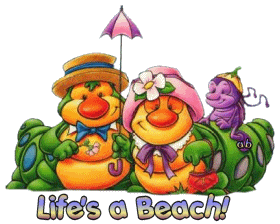 Lifes a Beach