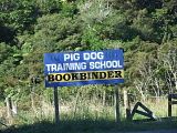 diversification.jpg image by drusilla_fox